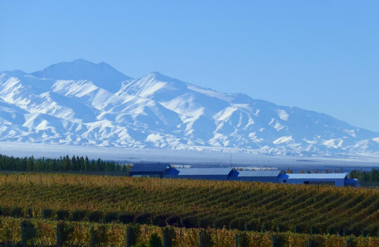 Casa De Uco Vineyards And Wine Resort Los Árboles Екстериор снимка