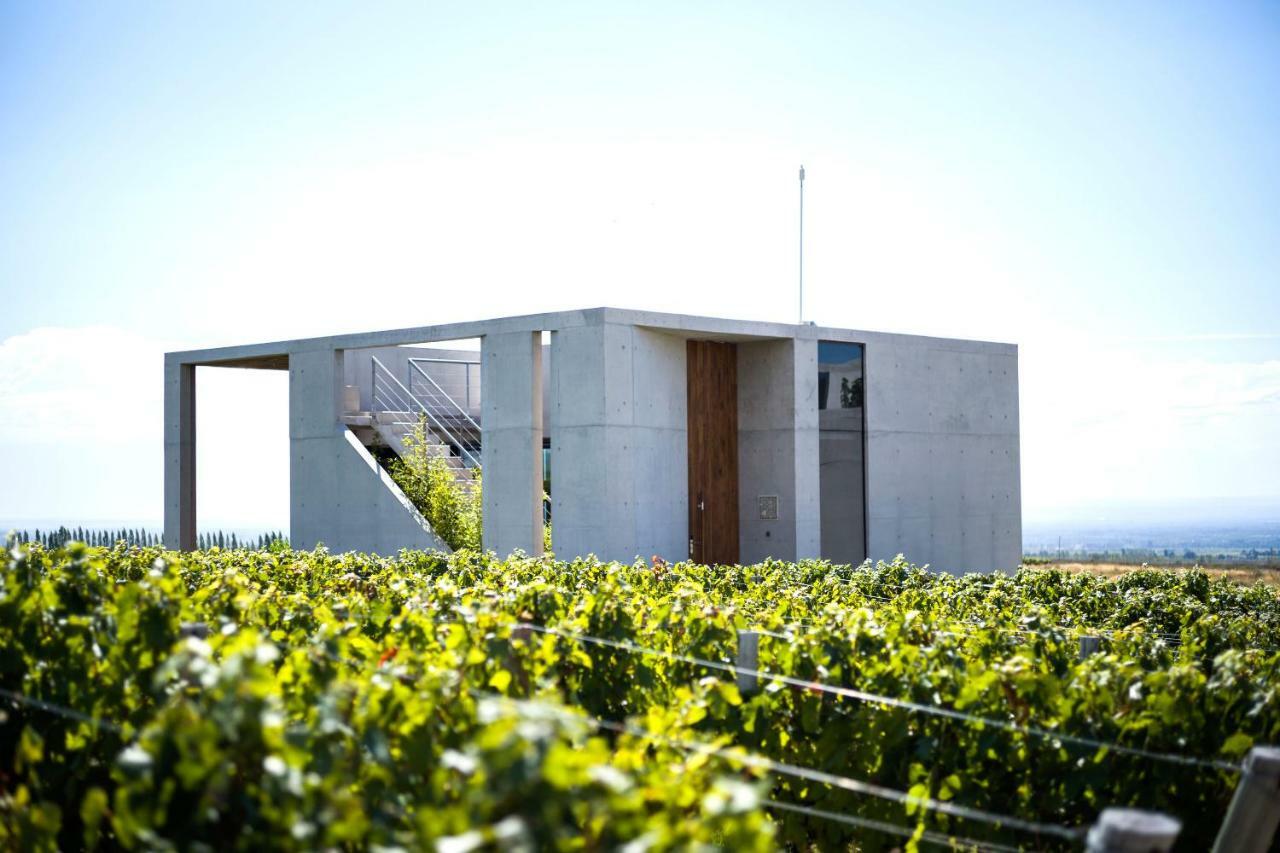 Casa De Uco Vineyards And Wine Resort Los Árboles Екстериор снимка